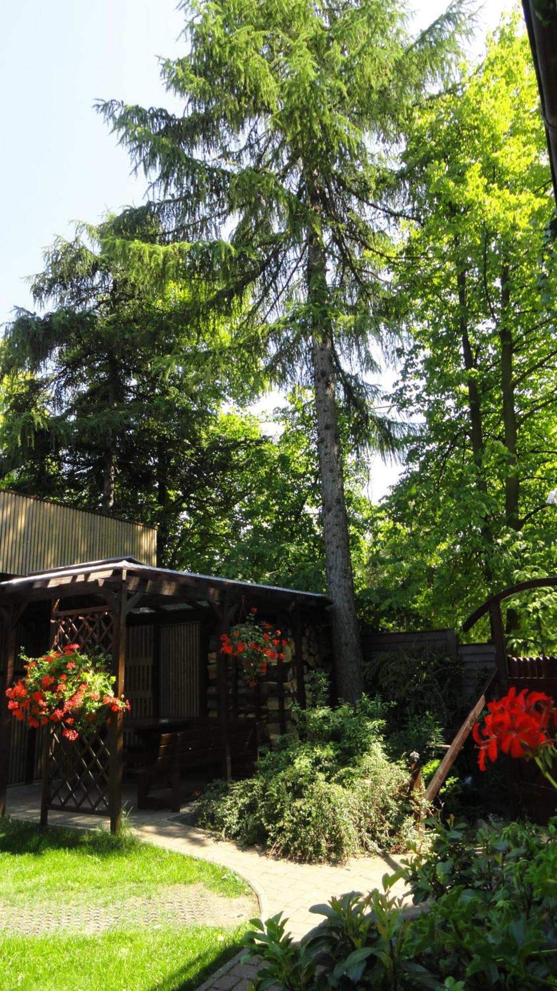 Villa Zosieńka Danzica Esterno foto